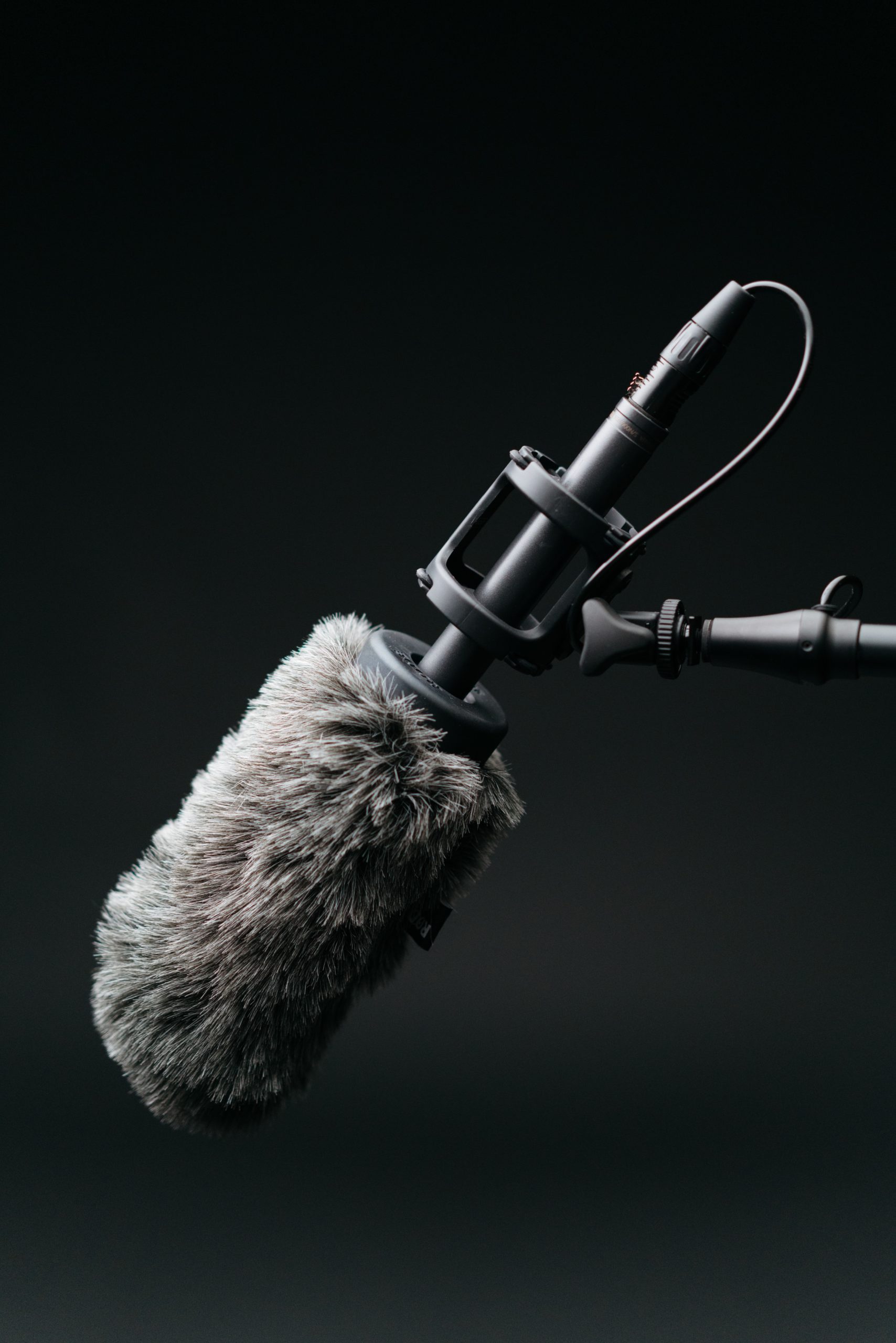 microphone