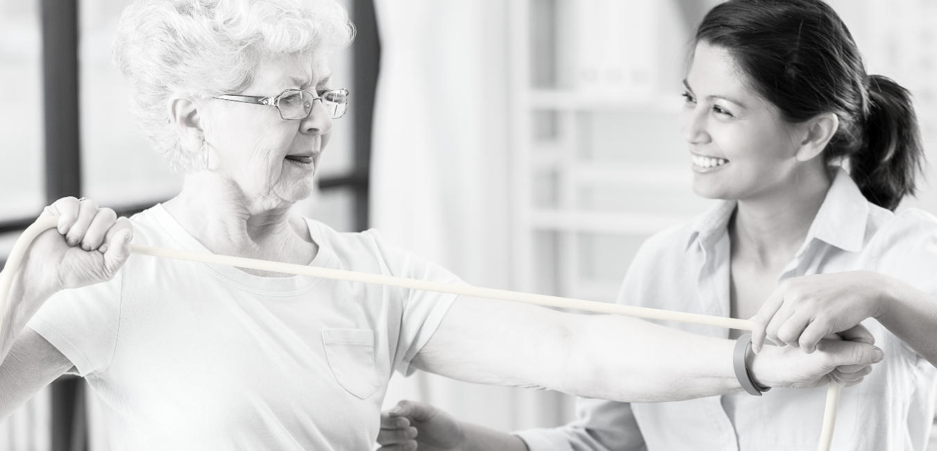 Physical Therapist